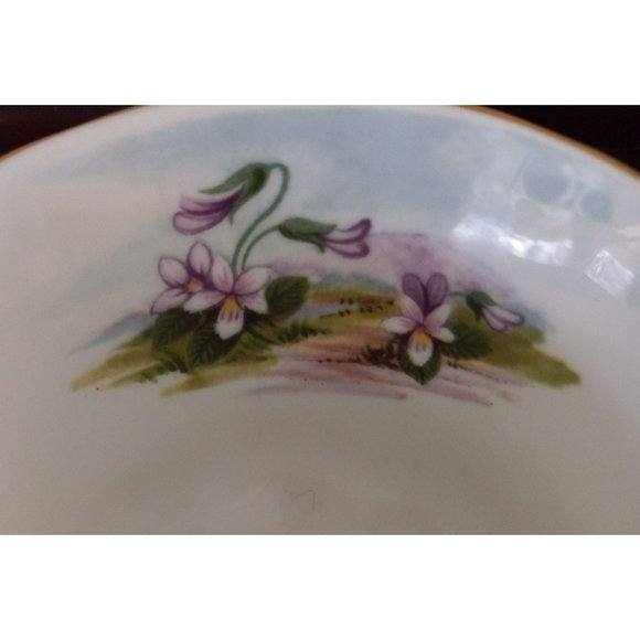 Vintage Royal Albert Bone China England Country Scenes Dingle Dell Teacup and Sa - Picture 6 of 15